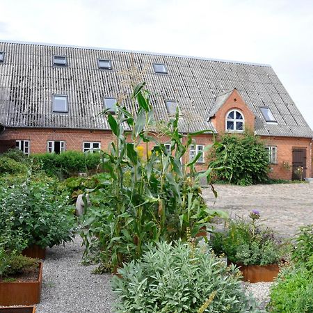 Lundsgaard Bed & Breakfast Fåborg Εξωτερικό φωτογραφία