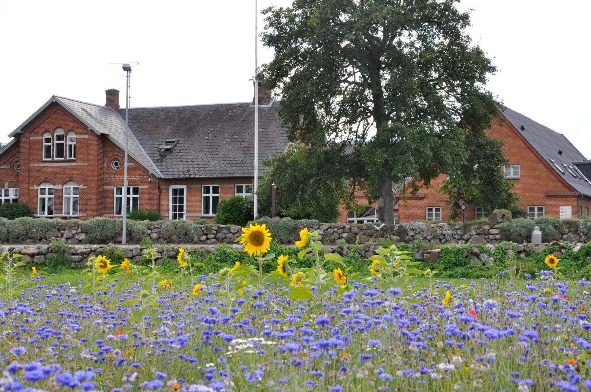 Lundsgaard Bed & Breakfast Fåborg Εξωτερικό φωτογραφία