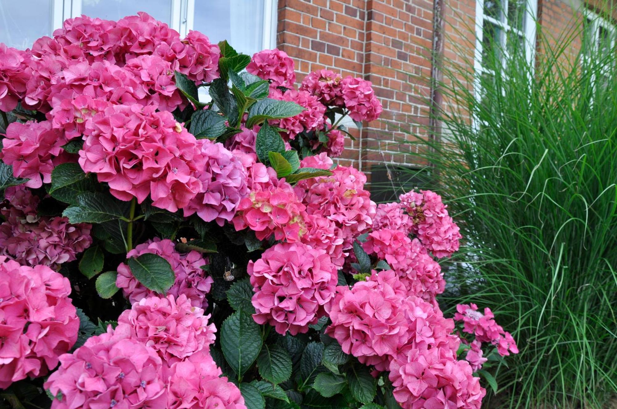 Lundsgaard Bed & Breakfast Fåborg Εξωτερικό φωτογραφία